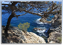 Cala de Sa Tortuga